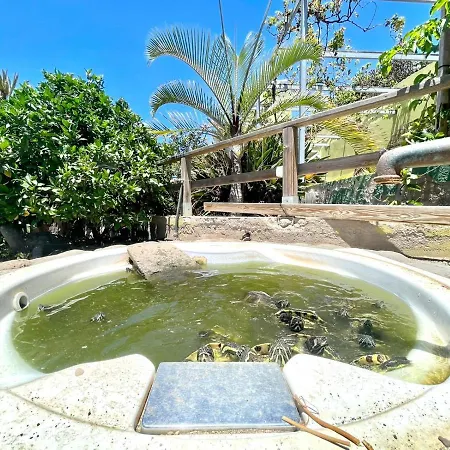 Beautiful Villa8, Freewifi, Shared Swimming Pool With Unforgettable Panoramic View